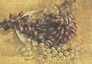 Vincent Van Gogh Still life wtih Grapes (nn04) painting